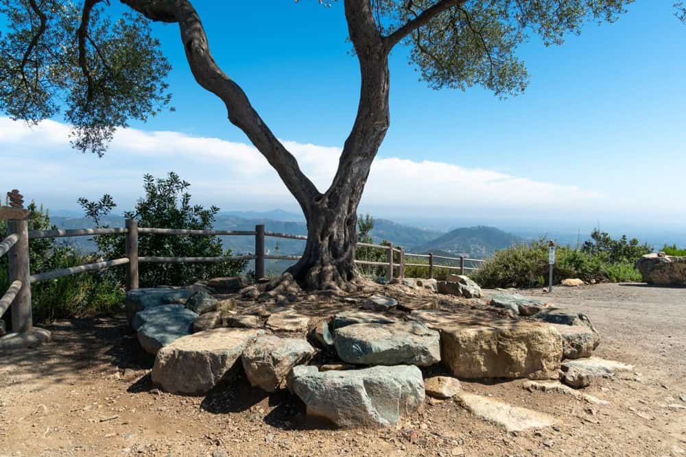 An iconic tree on a rocky hilltop with a panoramic view of the valley below. Perfect for real estate.