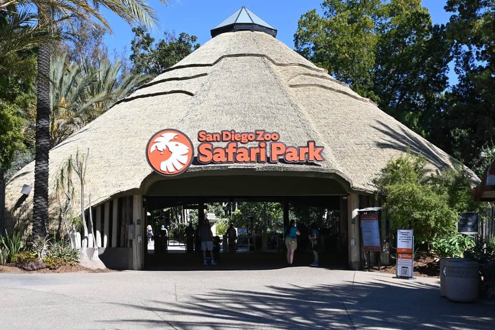San Diego Zoo Safari Park entrance with thatched roof and lush greenery.