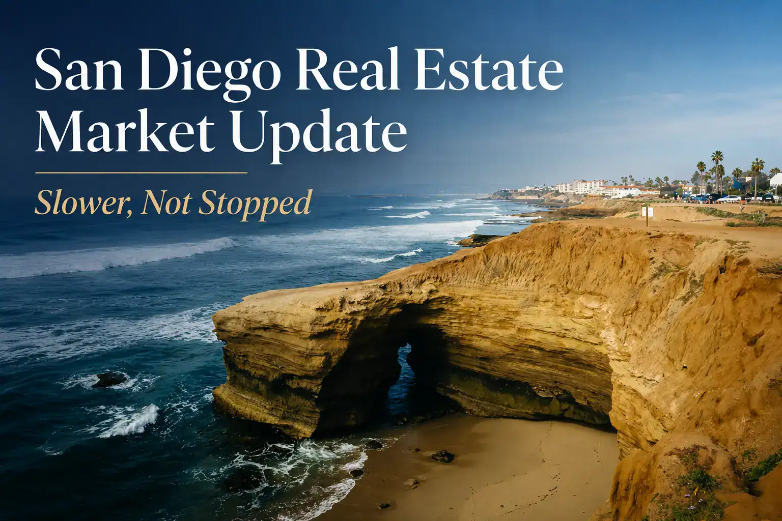 A scenic view of the San Diego coastline with cliffs and ocean waves.
